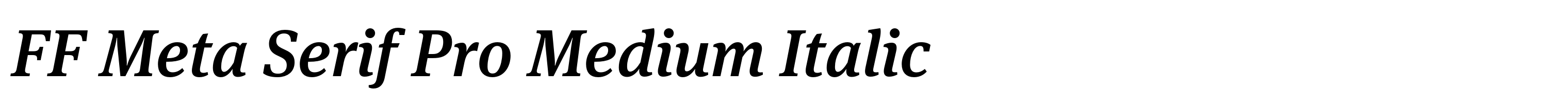 FF Meta Serif Pro Medium Italic